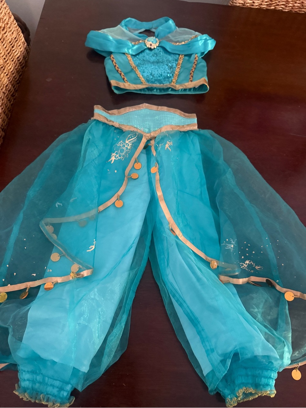 Girls' Teal Disney Genie Costume Set with Gold Trim